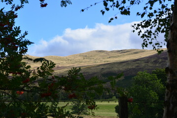 Schottland_2024_164