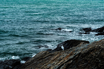 A white bird sits on dark, rocky cliffs overlooking the teal ocean waves.