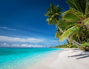 Obraz premium tropical beach with crystal clear turquoise water white sand and coconut trees