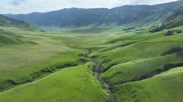 A vast expanse of rolling green savanna, known as Teletubbies Hill at Mount Bromo, is dissected by a winding, dry riverbed creating a stunning natural pattern.