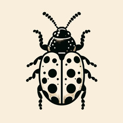 illustration of the koksi beetle