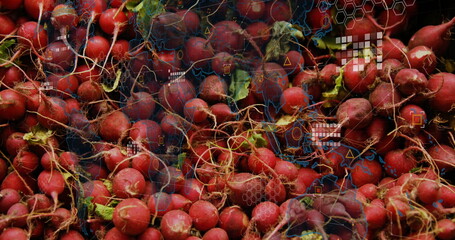 Showing red radishes revealing roots and green leaf tips in produce display, with hex grid overlay