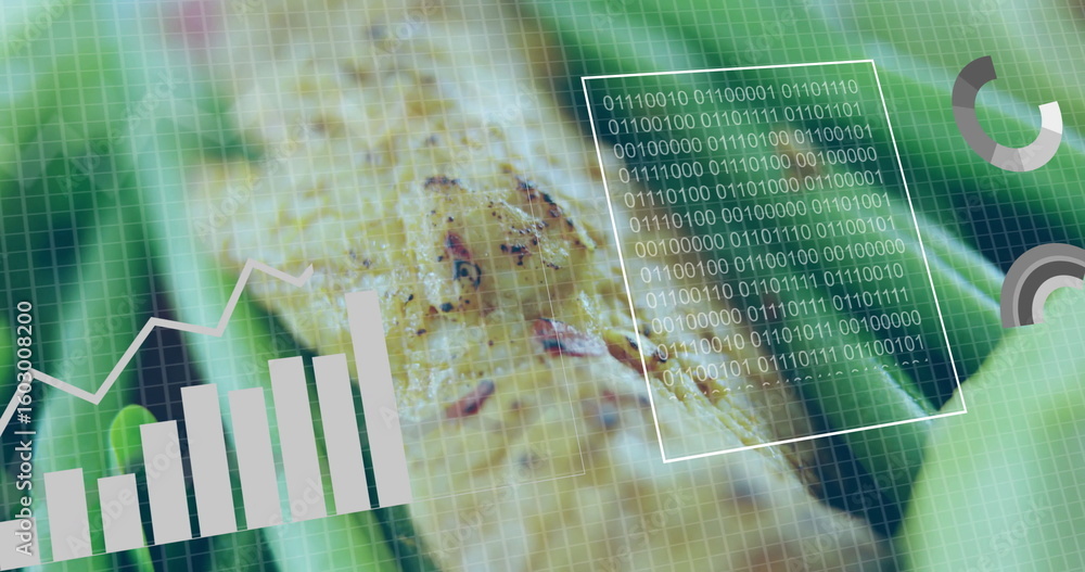 Poster chicken fillet resting on greens in dashboard, featuring data charts and indicators, grid overlay