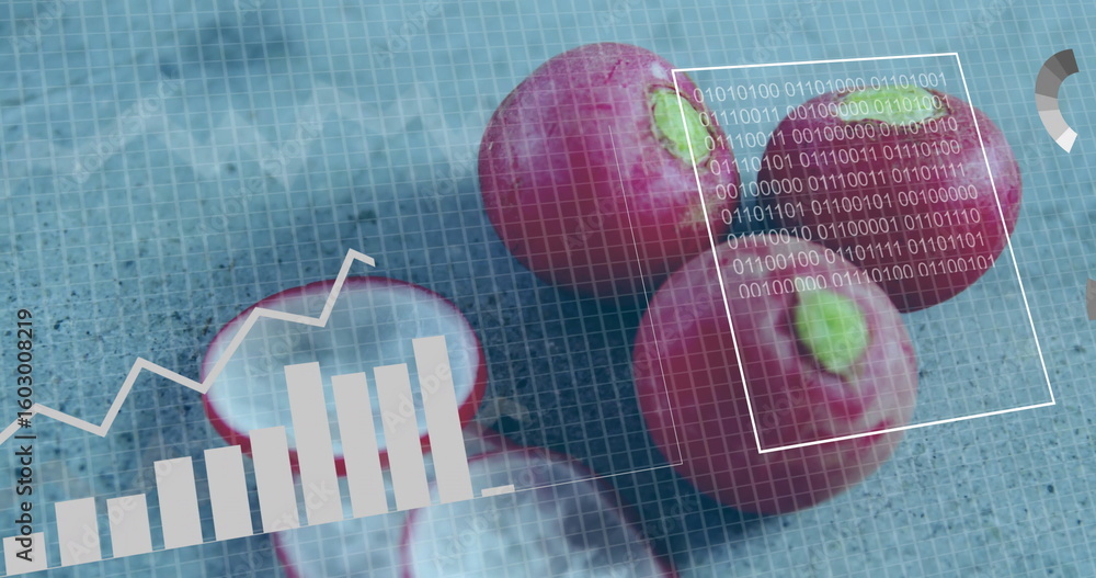 Poster displaying whole, sliced red radishes projecting overlays on grid mat with bar chart, code, gauge