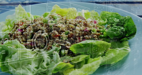 Arranging lettuce cups filled with grain salad on pale-blue plate in kitchen, showing UI panels