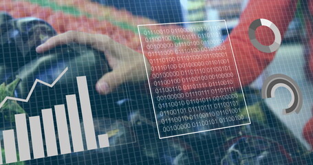 Reaching hand in red long sleeve top grabbing eggplants on supermarket shelf, with digital graphs