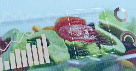 Displaying salad plate with lettuce, tomato, cucumber, olives on blue grid with data overlays
