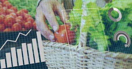 Reaching hand picking tomatoes and lettuce from wicker basket at market stall, with data overlays
