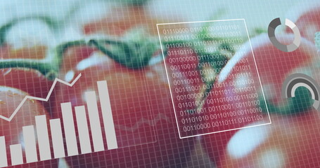 Presenting red tomatoes behind digital grid in greenhouse, with binary code panel and bar chart