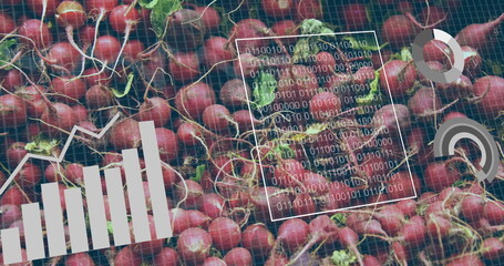 Displaying cluster of red radishes covering grid in digital display, with bar chart and binary code
