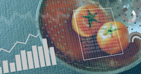 Displaying metal colander holding halved tomatoes on blue countertop, with grid and binary overlays