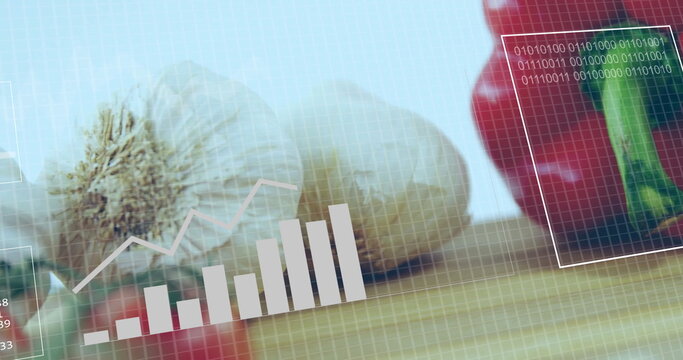 Displaying 2 garlic bulbs, red pepper showing data overlays on wood board, agriculture copy space