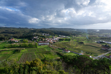 Paysage rural portugais, des vignes et le ciel