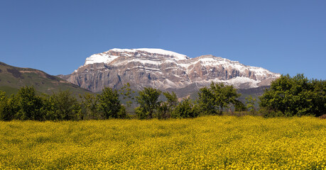 Yellow fields at the foot of Mount Shahdag.