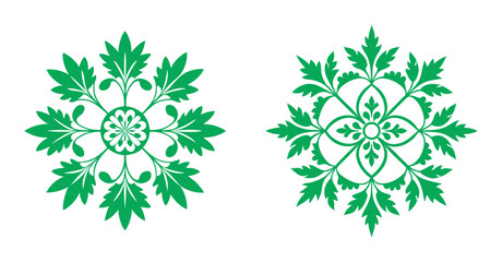 Cilantro Botanical Herb Mandala Design Illustration