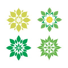 Sacred Basil Botanical Herb Mandala Artwork