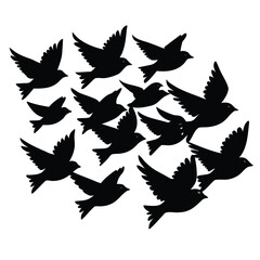 Fototapeta premium Flock of silhouetted birds in flight