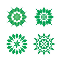 Nettle Leaf Botanical Herb Mandala Bundle
