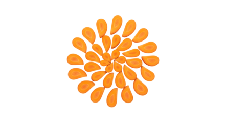 Abstract organic shape of orange segments arranged in a spiral pattern isolated on transparent background