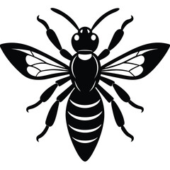 Fototapeta premium Stylized black and white silhouette of a bee