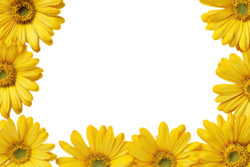Yellow daisy flowers frame a black background
