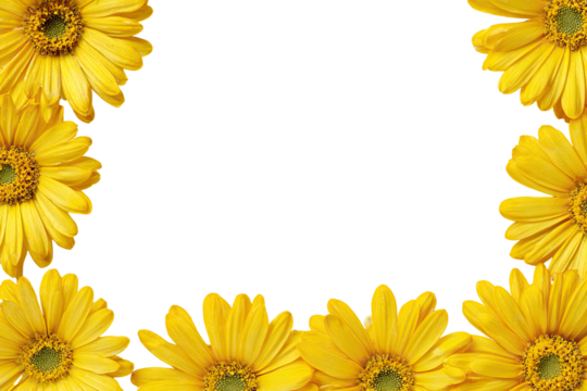 Yellow daisy flowers frame a black background