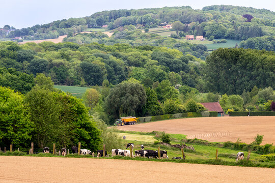 Paysage agricole au mont Noir dans les Flandres fran&ccedil;aises