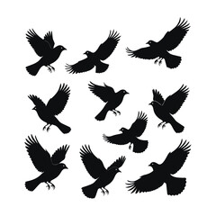 Silhouettes of Birds in Flight Against a White Background