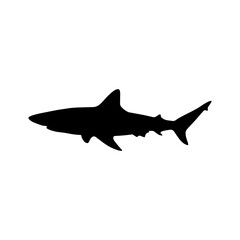 Blacktip reef shark silhouette vector flat illustration design.