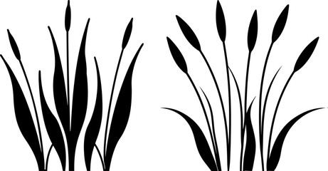 Black cattail plant vector, cattail plant art, cattail plant vector art design, Vector of cattail plant art, cattail plant isolated