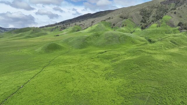 A vast expanse of rolling green savanna, known as Teletubbies Hill at Mount Bromo, is dissected by a winding, dry riverbed creating a stunning natural pattern.