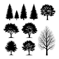 Fototapeta premium Black silhouettes of various trees including pine and deciduous trees