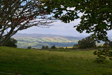 Obraz premium Schottland_2024_193