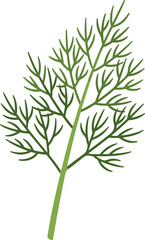 Fototapeta premium dill sprig