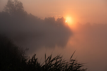 Letnie tło, mglisty poranek nad wodą. © Elżbieta Kaps
