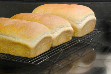 Homemade Fresh Bread on Cooling Rack for Home Cooking