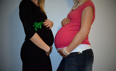 Two Pregnant Sisters – Family Bond and Motherhood

