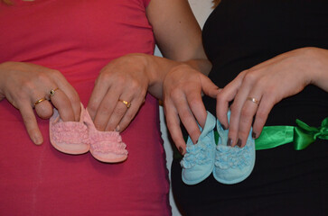 Two Pregnant Sisters – Family Bond and Motherhood

