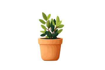 Obraz premium A Charming Potted Plant, Perfect for Home Decor Isolated on transparent background, cutout 