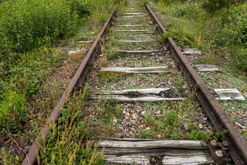 Rusty train tracks disappearing into overgrown vegetation