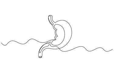 Human stomach, drawn with continuous line art, illustration of stomachache concept. Editable outline