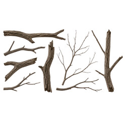 Dead Twig Element with Rough Texture on transparent background PNG

