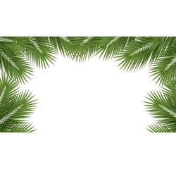 Tropical Palm Leaf Frame Design Element for Mockups on transparent background PNG

