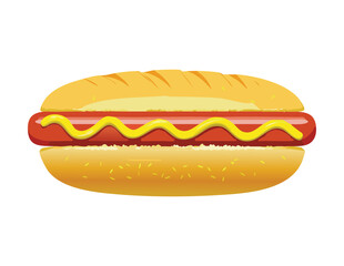 Classic Hot Dog with Mustard Drizzle Vector Illustration