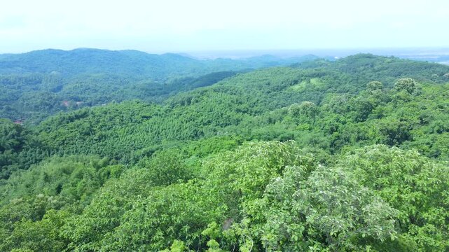 4K Aerial View of Lush Green Hills and Dense Forest Landscape