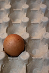 Only one egg left on tray. Single egg in a cardboard paper transport tray, close-up. Egg shortage,...