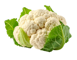 A fresh, white organic cauliflower head, a versatile and healthy vegetable, isolated on white.