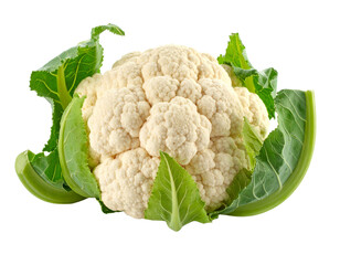 A fresh, white organic cauliflower head, angled view, a versatile and healthy vegetable, isolated on white.