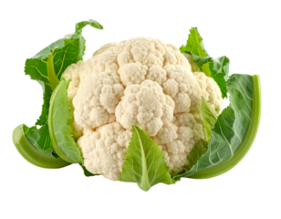 A fresh, white organic cauliflower head, angled view, a versatile and healthy vegetable, isolated on white.