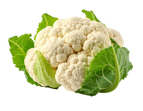 A fresh, white organic cauliflower head, a versatile and healthy vegetable, isolated on white.